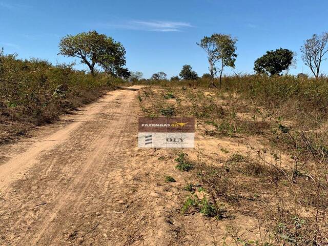 Fazenda para Venda em Uruaçu - 5