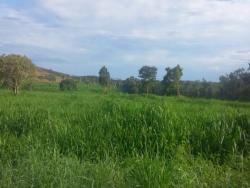 Fazenda para Venda em São Salvador do Tocantins - 4