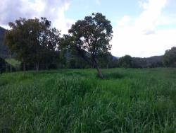 Fazenda para Venda em São Salvador do Tocantins - 5