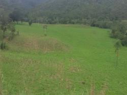 Fazenda para Venda em Palmeirópolis - 4