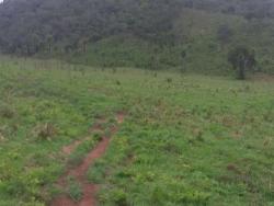 Fazenda para Venda em Palmeirópolis - 5