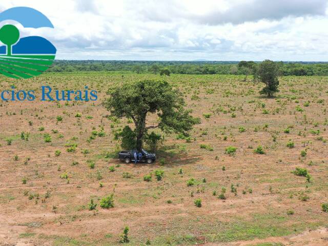 #85 - Fazenda para Venda em Jaú do Tocantins - TO - 2