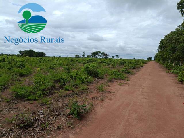 Fazenda para Venda em Jaú do Tocantins - 5