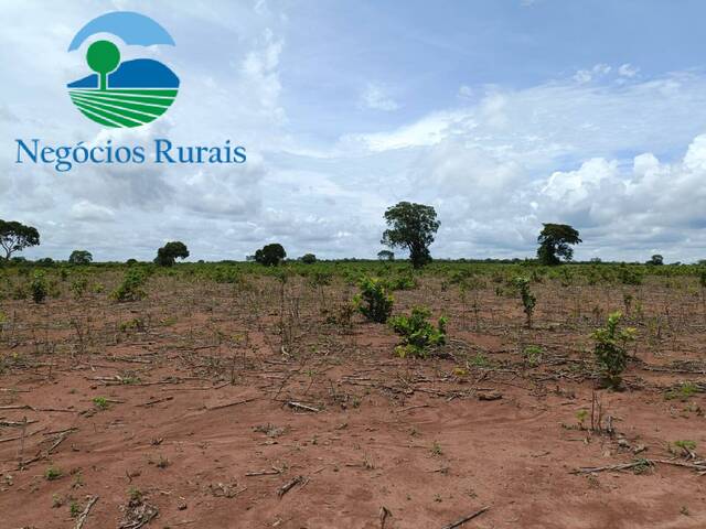 #85 - Fazenda para Venda em Jaú do Tocantins - TO - 3