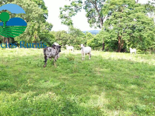 Fazenda para Venda em Formoso - 5