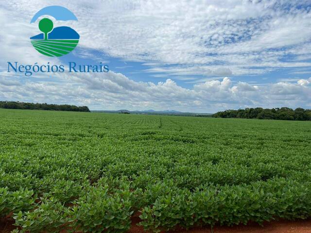 #121 - Fazenda para Venda em Paraíso do Tocantins - TO