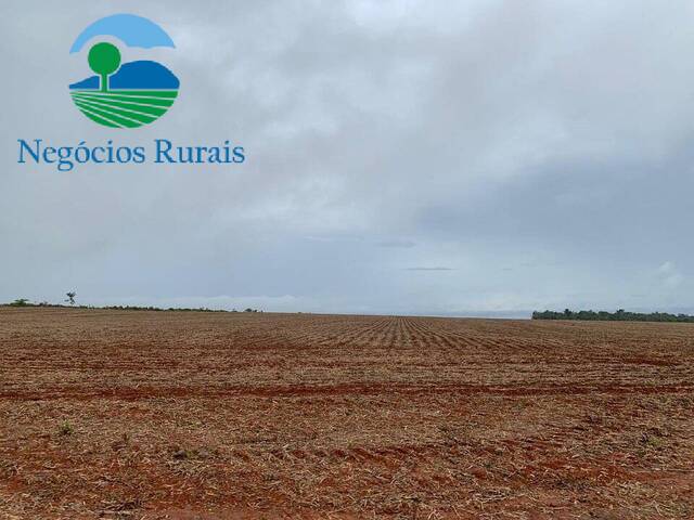 Fazenda para Venda em Paraíso do Tocantins - 4