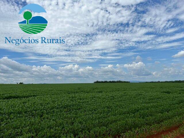 Fazenda para Venda em Paraíso do Tocantins - 5