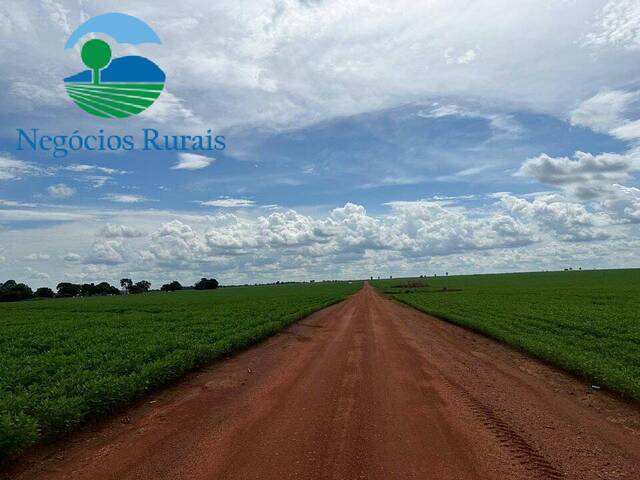 #121 - Fazenda para Venda em Paraíso do Tocantins - TO