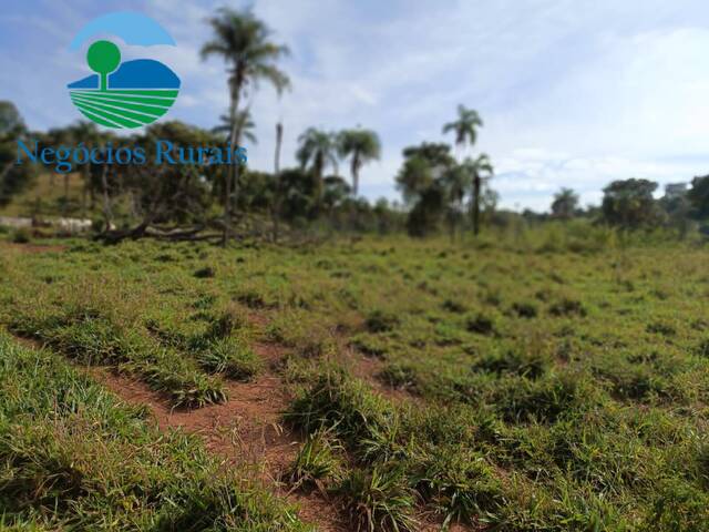 Fazenda para Venda em Campinaçu - 5