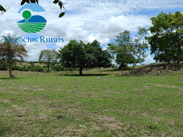 Fazenda para Venda em Itapuranga - 4