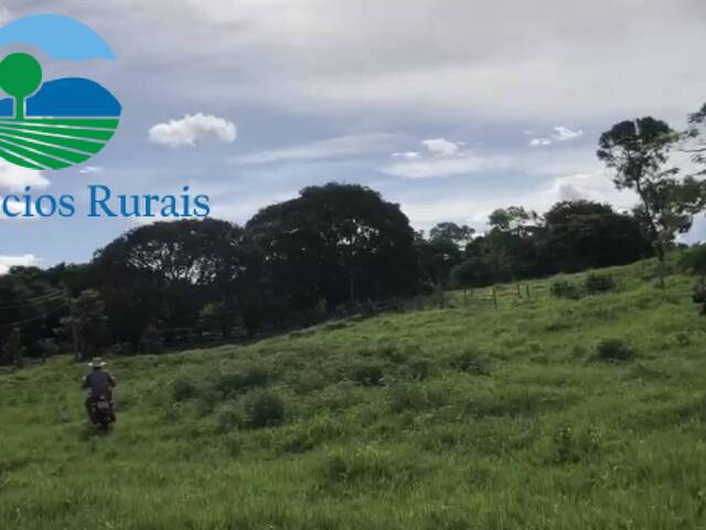 Fazenda para Venda em Nova Iguaçu de Goiás - 5