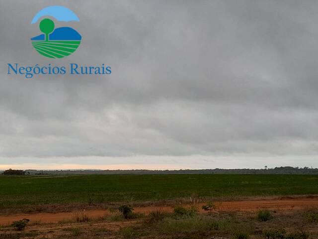 #133 - Fazenda para Venda em Palmeirante - TO