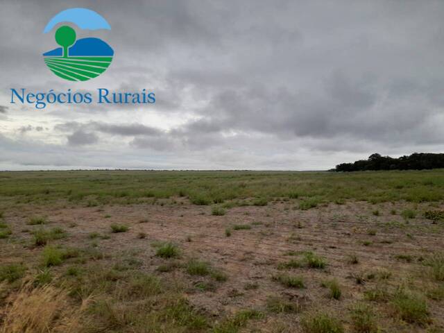 Fazenda para Venda em Palmeirante - 5