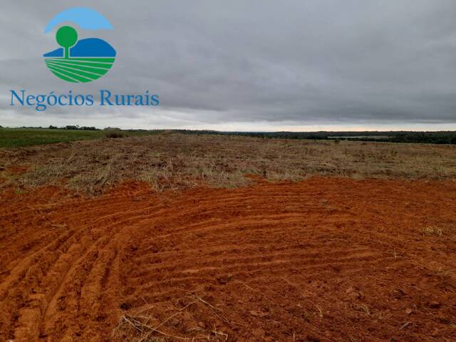 #133 - Fazenda para Venda em Palmeirante - TO