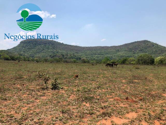 Fazenda para Venda em Uruaçu - 4