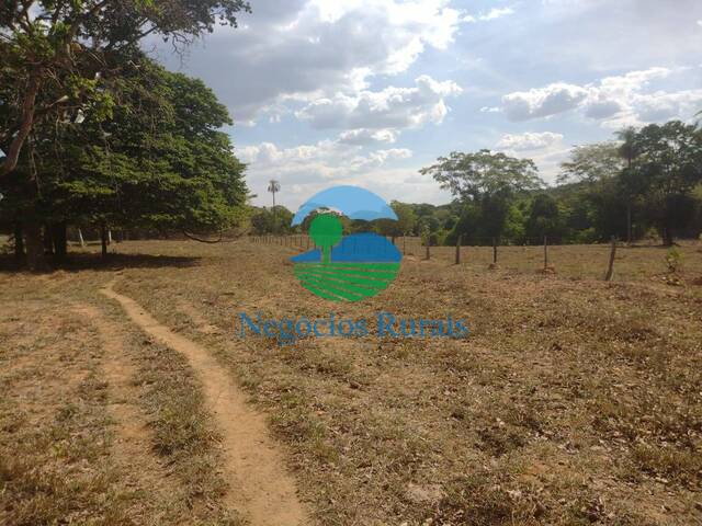 Fazenda para Venda em Padre Bernardo - 2