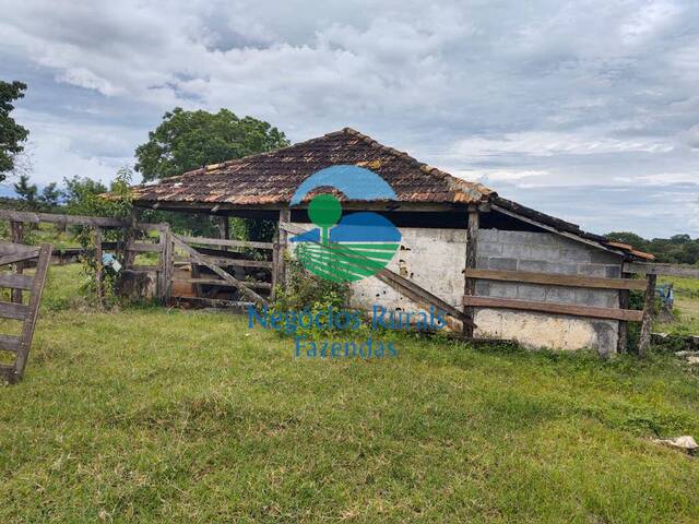 #139 - Fazenda para Venda em Formiga - MG - 3