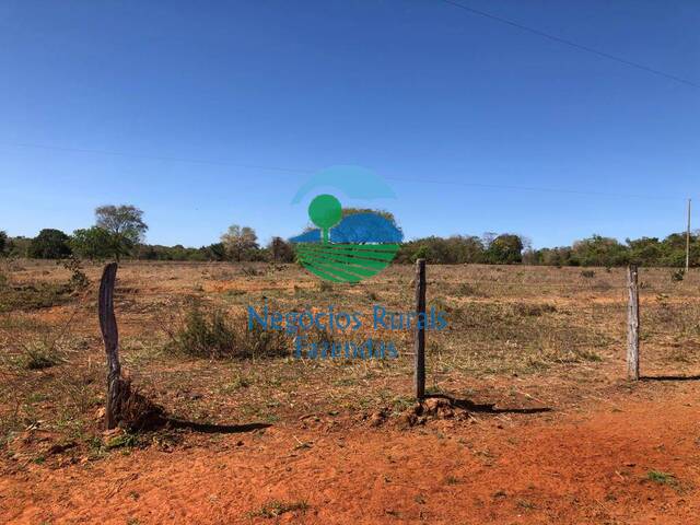 Fazenda para Venda em Palmeirópolis - 4