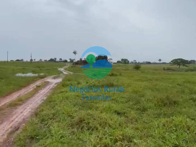 Fazenda para Venda em Wanderlândia - 5