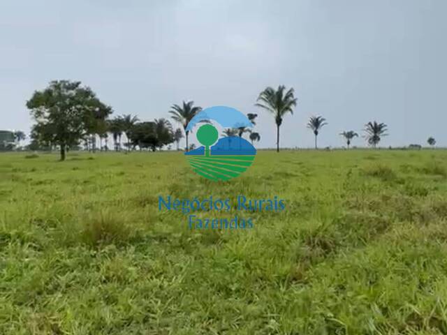 Fazenda para Venda em Wanderlândia - 2