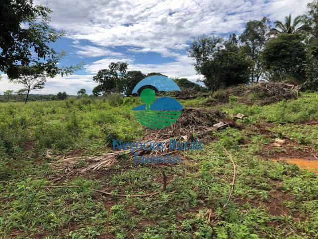 Fazenda para Venda em Uruaçu - 5