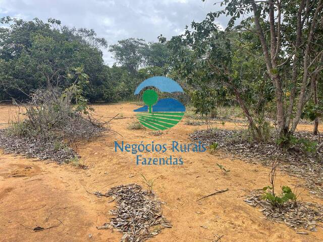 Fazenda para Venda em Uruaçu - 4