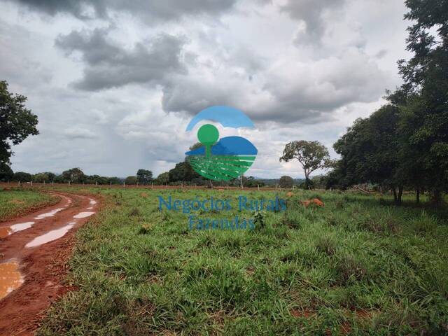 Fazenda para Venda em Alto Horizonte - 4