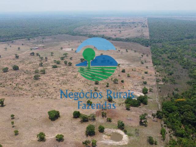 Fazenda para Venda em Paraíso do Tocantins - 3