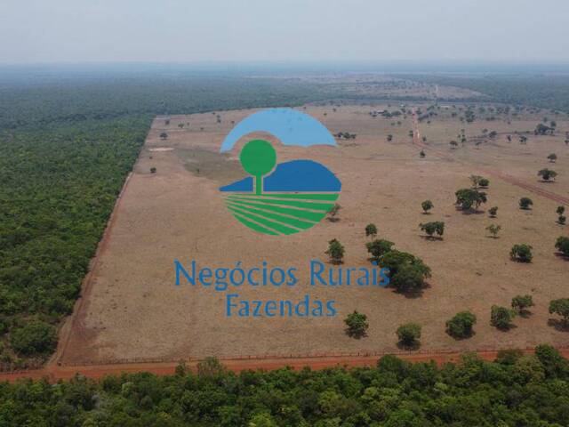 Fazenda para Venda em Paraíso do Tocantins - 2