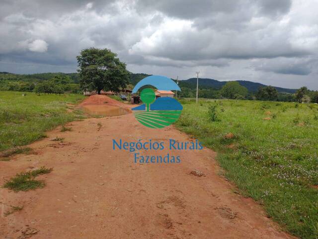 Fazenda para Venda em Silvanópolis - 4