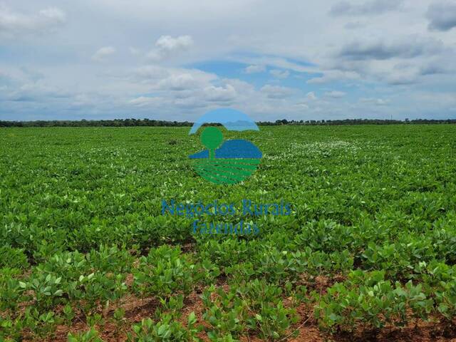 Fazenda para Venda em Silvanópolis - 4