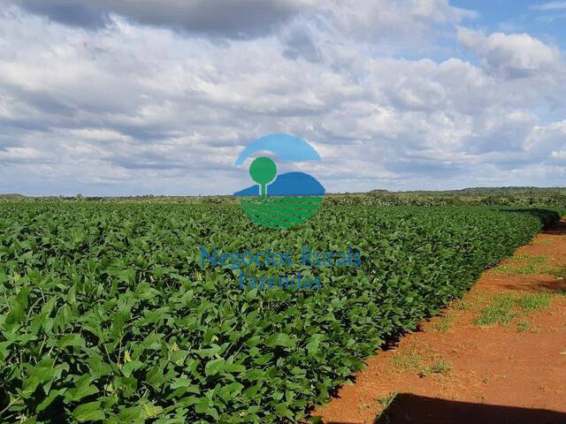 #169 - Fazenda para Venda em Dois Irmãos do Tocantins - TO - 3