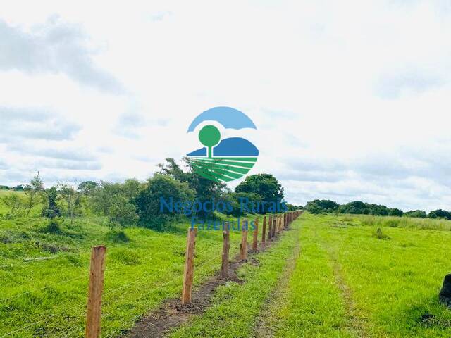 Fazenda para Venda em Rio Sono - 5