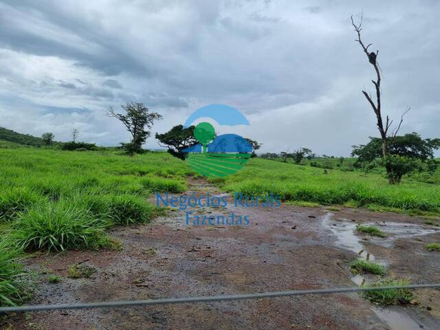 Fazenda para Venda em Rio Sono - 4