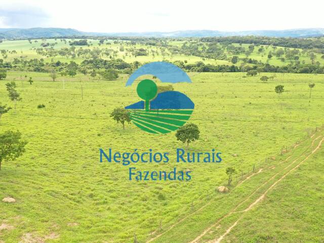 Fazenda para Venda em Pirenópolis - 4