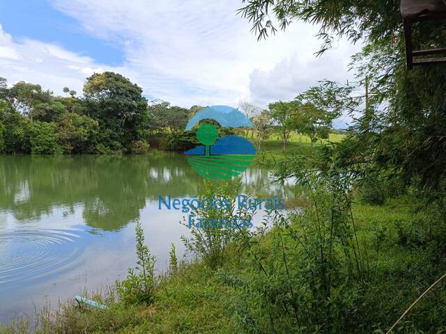 Fazenda para Venda em Pirenópolis - 5