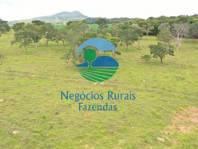 #172 - Fazenda para Venda em Pirenópolis - GO - 3