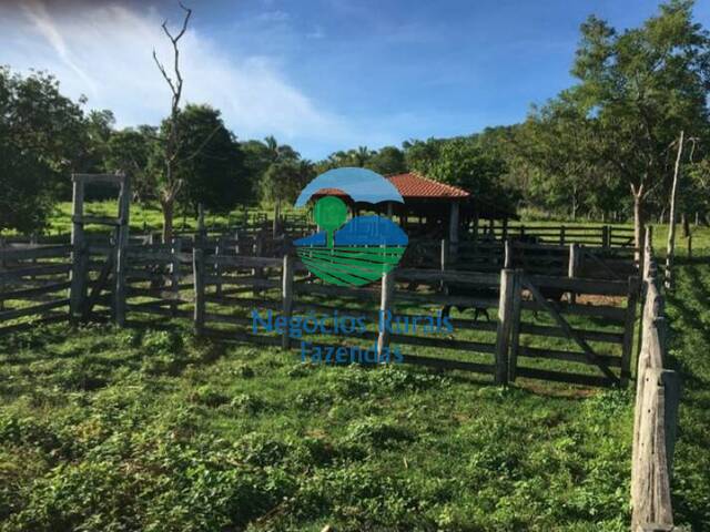 Fazenda para Venda em Cavalcante - 5