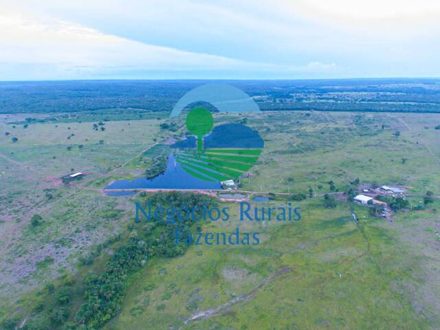 Fazenda para Venda em Dueré - 4