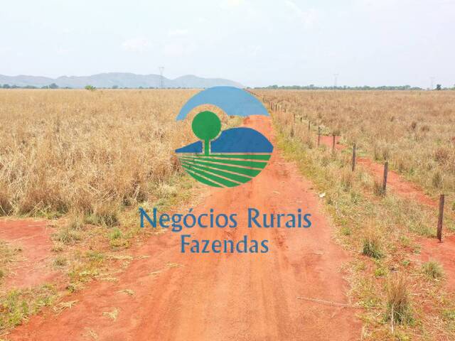 Fazenda para Venda em Palmeirópolis - 5