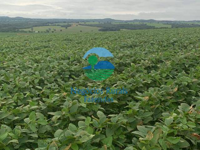 Fazenda para Venda em Pires do Rio - 4