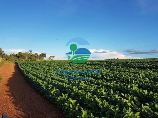 Venda em Zona rural - Gurupi