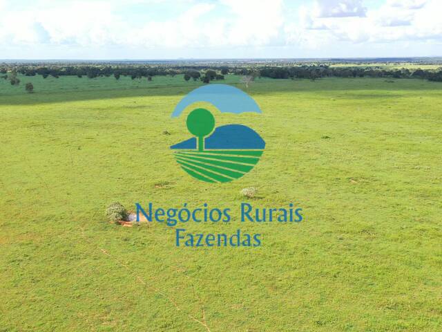 #198 - Fazenda para Venda em Novo Planalto - GO