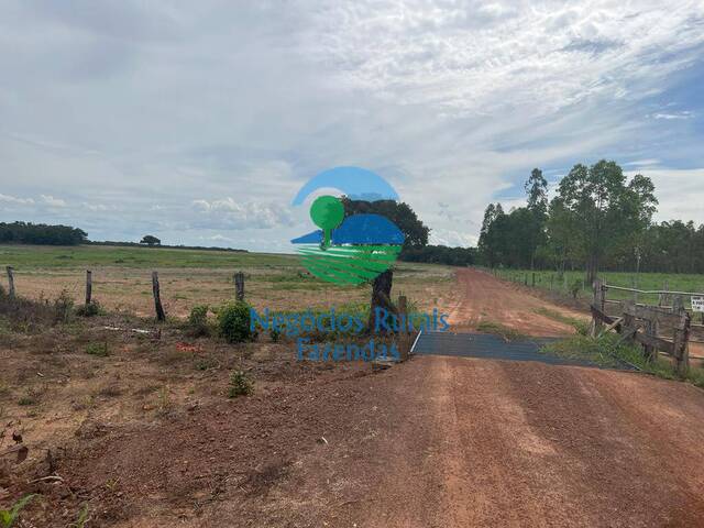 #204 - Fazenda para Venda em Figueirópolis - TO - 3