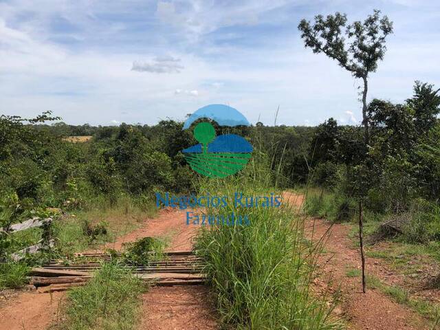 Fazenda para Venda em São Valério da Natividade - 5