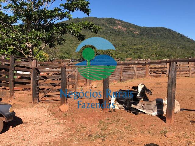 Fazenda para Venda em Barro Alto - 4