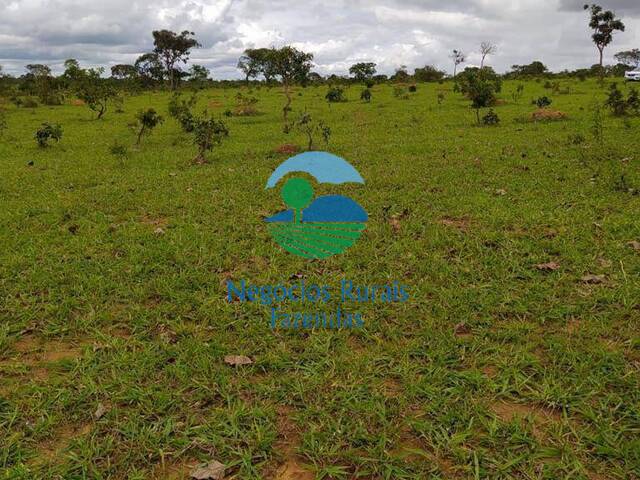 Fazenda para Venda em Santo Antônio do Descoberto - 4