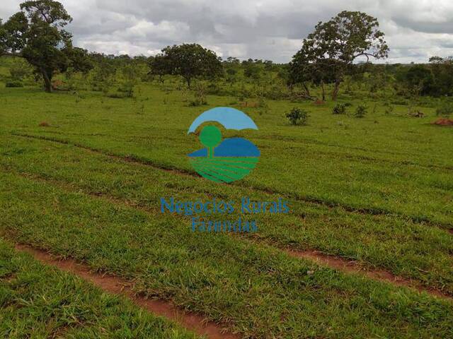 Fazenda para Venda em Santo Antônio do Descoberto - 5