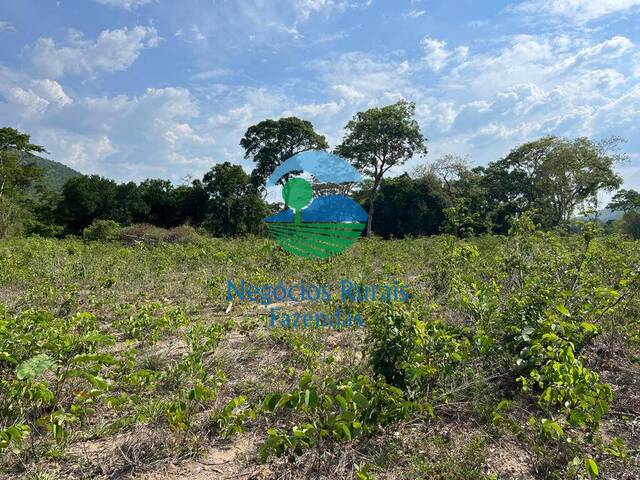 Fazenda para Venda em Jaú do Tocantins - 5